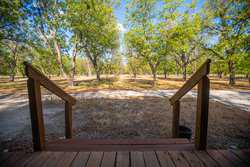 384 Kc 3121 Junction TX 76849