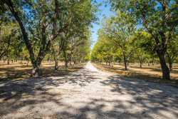 384 Kc 3121 Junction TX 76849