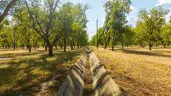 384 Kc 3121 Junction TX 76849