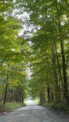 Nichols Road Landgrove VT 05148