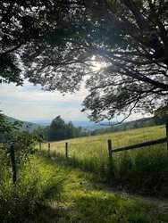 Nichols Road Landgrove VT 05148