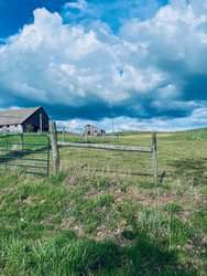 Nichols Road Landgrove VT 05148