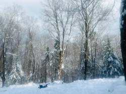 Nichols Road Landgrove VT 05148