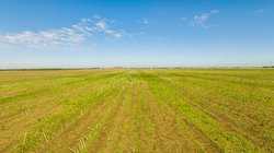 11301 E State Highway 29 Georgetown TX 78626