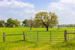 243 County Road 442 Harwood TX 78632