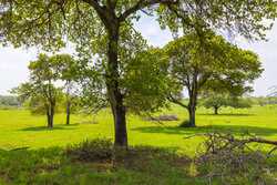 243 County Road 442 Harwood TX 78632