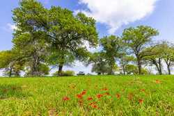 243 County Road 442 Harwood TX 78632