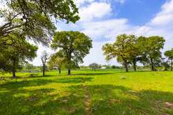 243 County Road 442 Harwood TX 78632