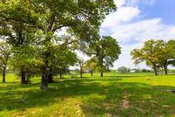 243 County Road 442 Harwood TX 78632