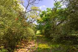 243 County Road 442 Harwood TX 78632