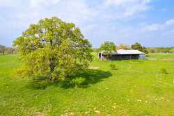 243 County Road 442 Harwood TX 78632