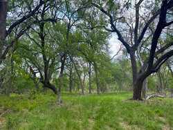 Tbd 1581 Dilley TX 78017