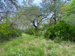 Tbd 1581 Dilley TX 78017