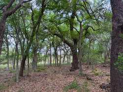 Tbd 1581 Dilley TX 78017