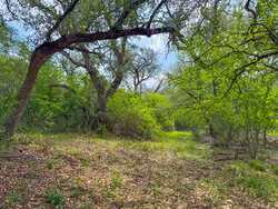 Tbd 1581 Dilley TX 78017