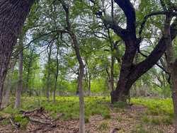 Tbd 1581 Dilley TX 78017