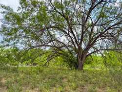 Tbd 1581 Dilley TX 78017