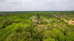 Tbd 1581 Dilley TX 78017