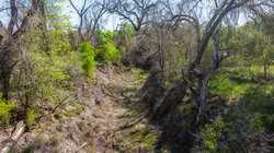 Tbd 1581 Dilley TX 78017