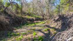 Tbd 1581 Dilley TX 78017