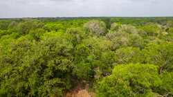 Tbd 1581 Dilley TX 78017