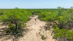 Tbd 1581 Dilley TX 78017
