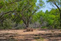 Tbd 1581 Dilley TX 78017