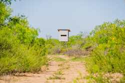 Tbd 1581 Dilley TX 78017