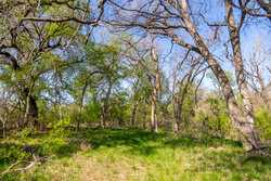 Tbd 1581 Dilley TX 78017