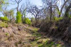 Tbd 1581 Dilley TX 78017