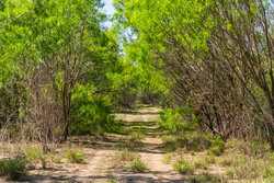 Tbd 1581 Dilley TX 78017