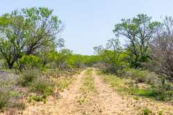 Tbd 1581 Dilley TX 78017