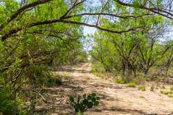Tbd 1581 Dilley TX 78017