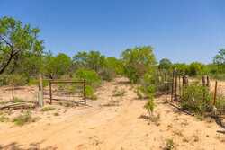 Tbd 1581 Dilley TX 78017