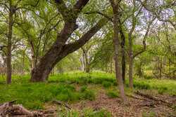 Tbd 1581 Dilley TX 78017