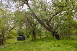 Tbd 1581 Dilley TX 78017