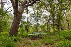 Tbd 1581 Dilley TX 78017