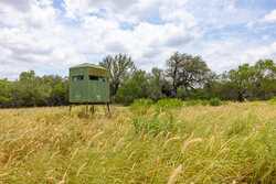 Tbd 1581 Dilley TX 78017