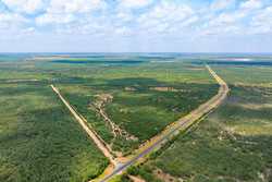 Tbd 1581 Dilley TX 78017