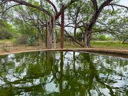 Tbd 1581 Dilley TX 78017