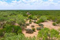 Tbd 1581 Dilley TX 78017