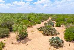 Tbd 1581 Dilley TX 78017