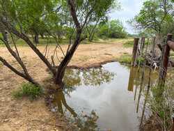 Tbd 1581 Dilley TX 78017