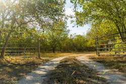 Red Rock TX