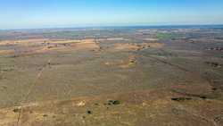 Devine TX