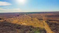 Devine TX