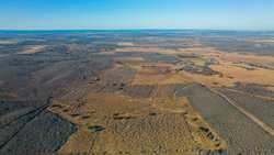 Devine TX