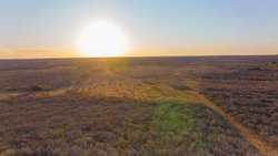 Devine TX