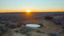 Devine TX