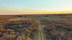 Devine TX